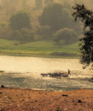 Village by the river