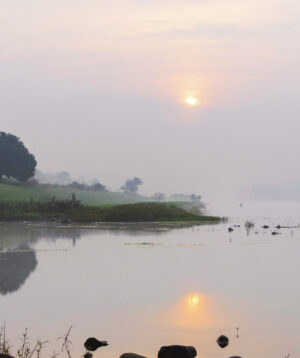 Mist over the Meadow